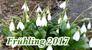 Frhling 2017