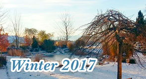 Winter 2017