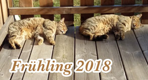 Frhling 2018