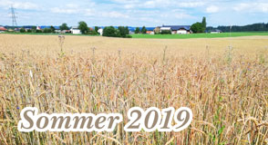 Sommer 2019