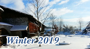 Winter 2019