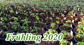 Frhling 2020